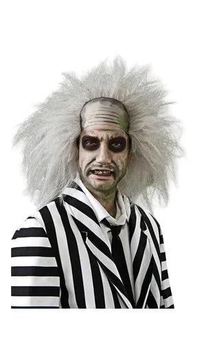 BEETLEJUICE WIG – ADULT