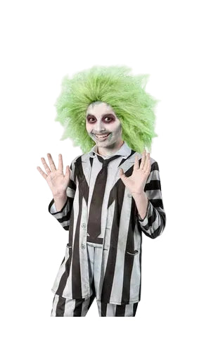 BEETLEJUICE WIG – CHILD