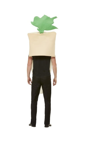 Christmas Parsnip Costume