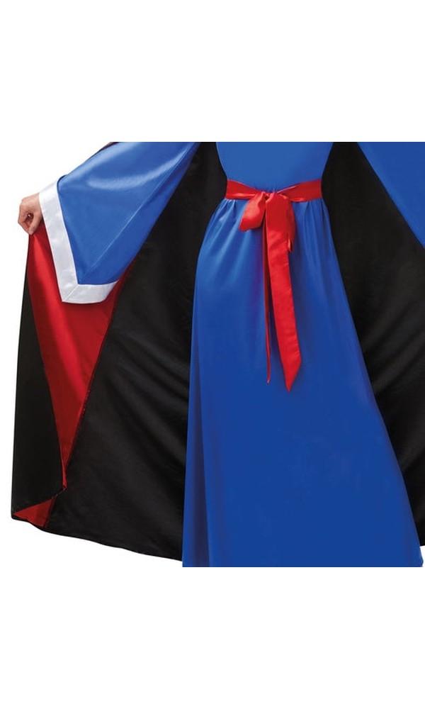 DISNEY EVIL QUEEN COSTUME, ADULT