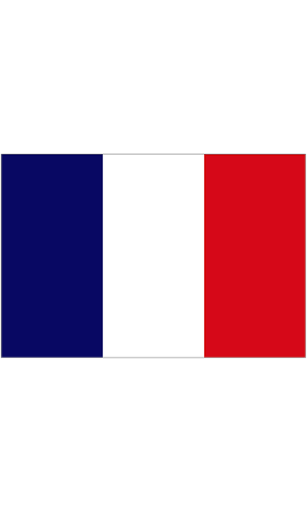 FRANCE FLAG 90CMS X 150CMS