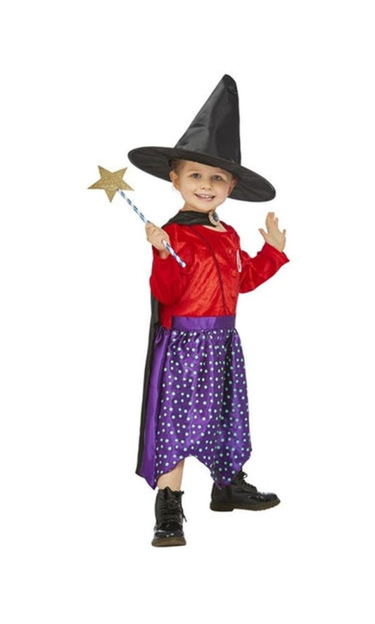 Julia Donaldson Room On The Broom Costume