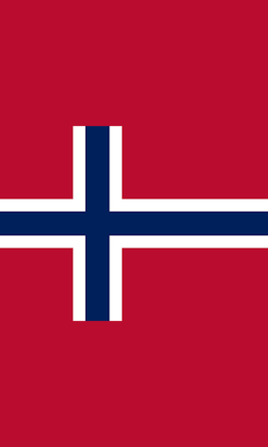 NORWAY FLAG 90CMS X 150CMS