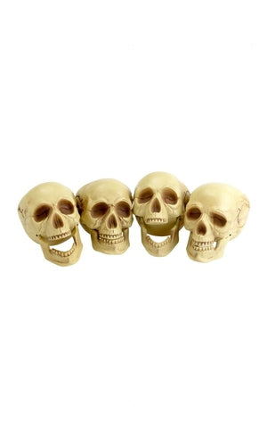 Skull Heads, Natural, 4 Pieces, 16cm Tall