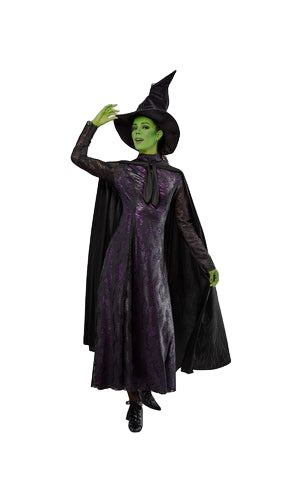 WICKED – ELPHABA COSTUME, ADULT