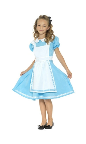 Alice in Wonderland Princess Costume