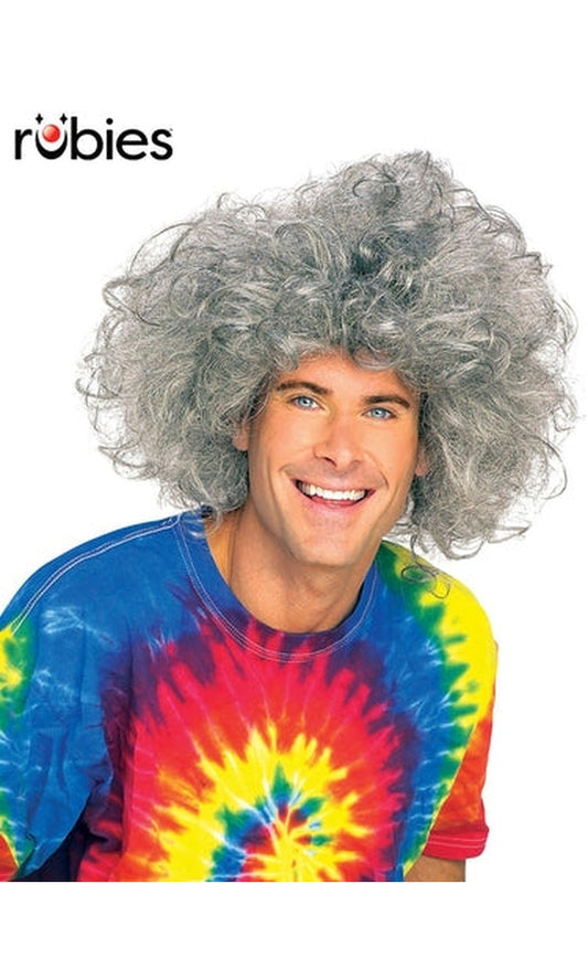 BAD HAIR DAY WIG – EINSTEIN ADULT