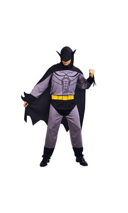 Bat Hero Costume