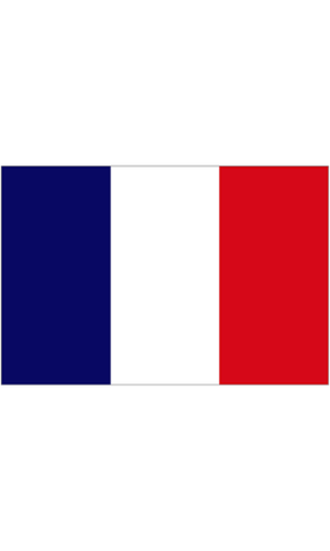 FRANCE FLAG 90CMS X 150CMS