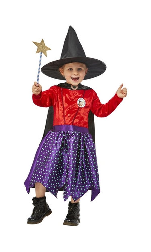 Julia Donaldson Room On The Broom Costume