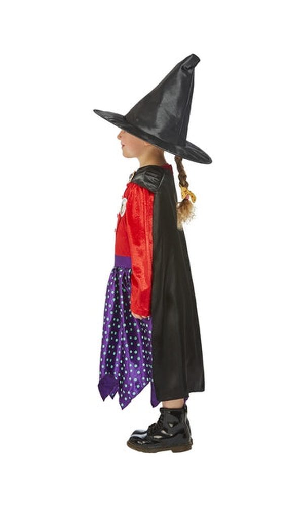 Julia Donaldson Room On The Broom Costume