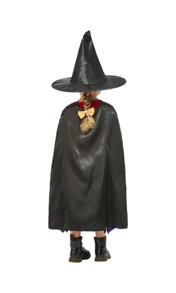 Julia Donaldson Room On The Broom Costume
