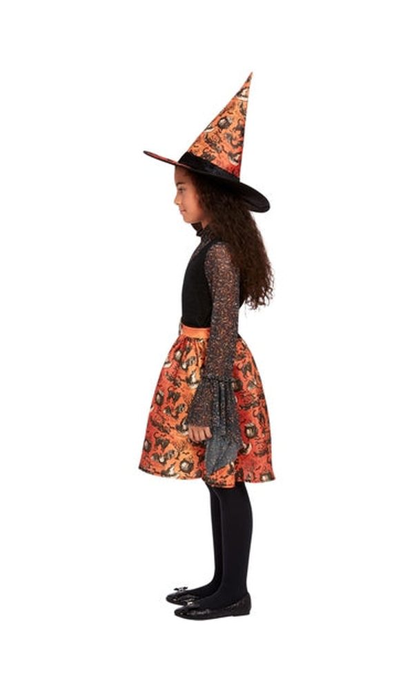 Vintage Witch Costume Child
