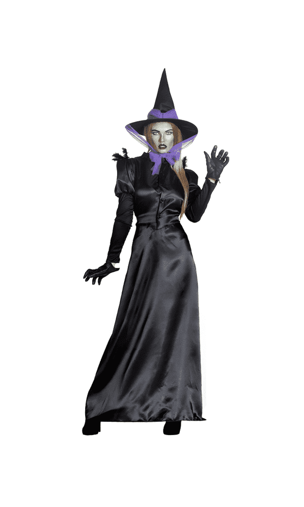 Green Witch Costume Adult