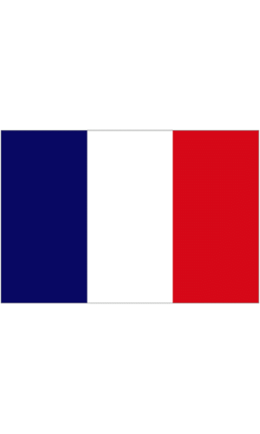 FRANCE FLAG 90CMS X 150CMS