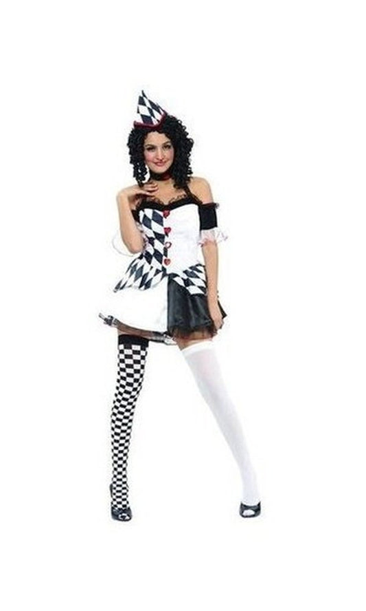 Harlequin Womens Costume